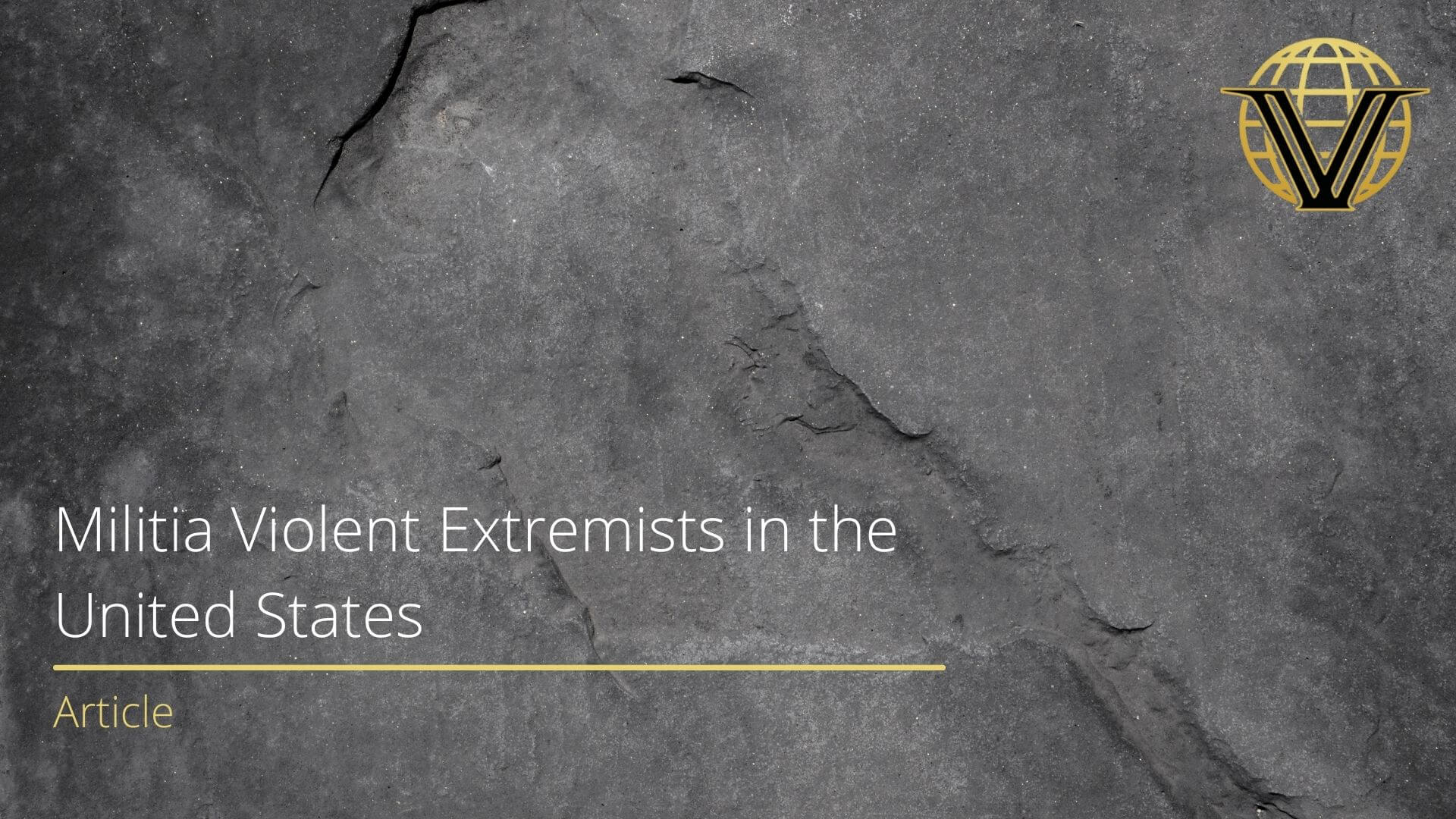 Militia Violent Extremists in the United States: Understanding the ...